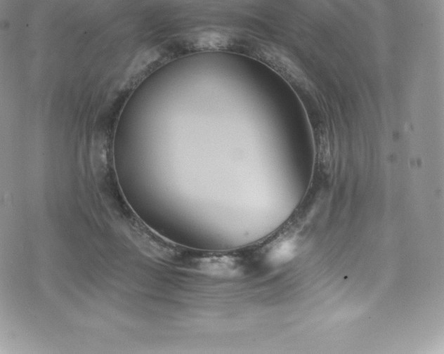 X0000073900363200608111136