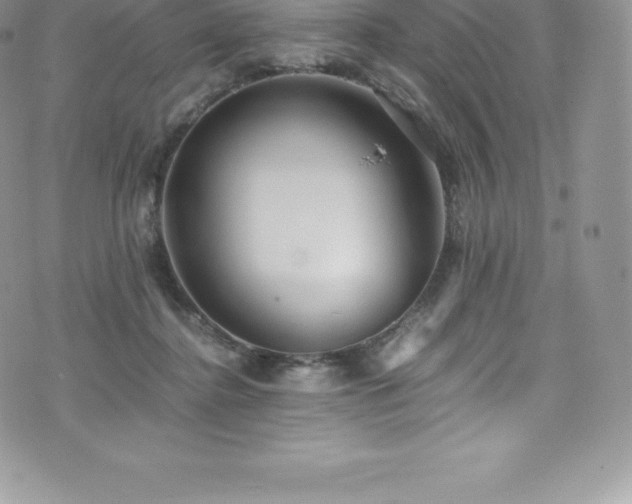 X0000073900364200608111136