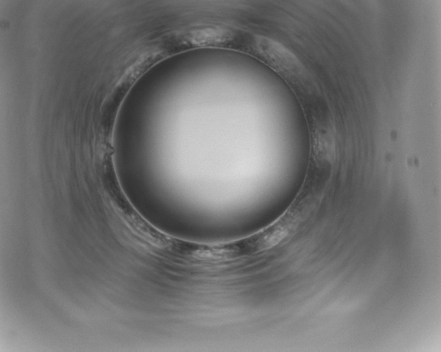 X0000073900367200608111136