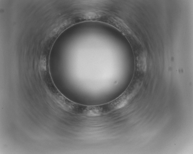 X0000073900368200608111136