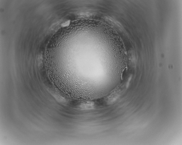 X0000073900369200608111136