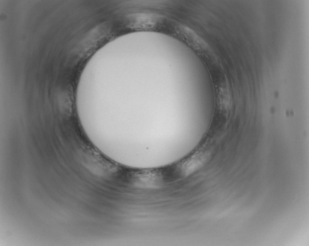 X0000073900370200608111136