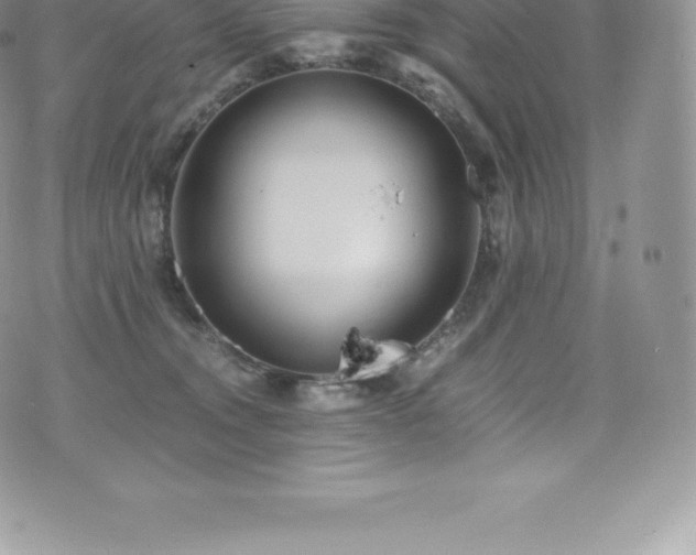 X0000073900372200608111136