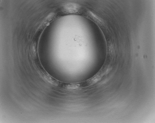 X0000073900373200608111136