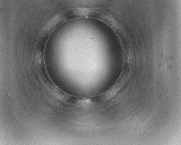 X0000073900374200608111136