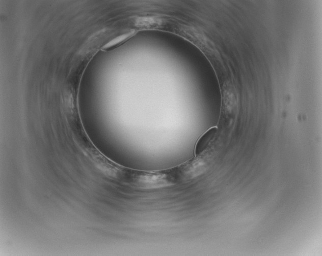 X0000073900375200608111136