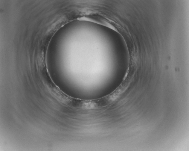 X0000073900376200608111136