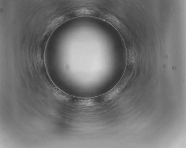 X0000073900377200608111136