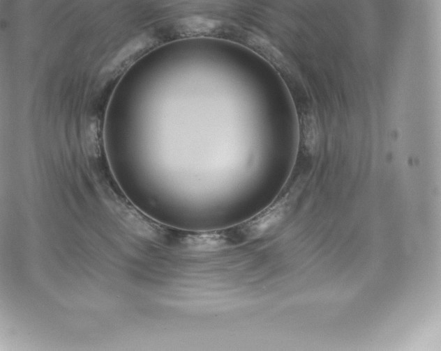 X0000073900378200608111136