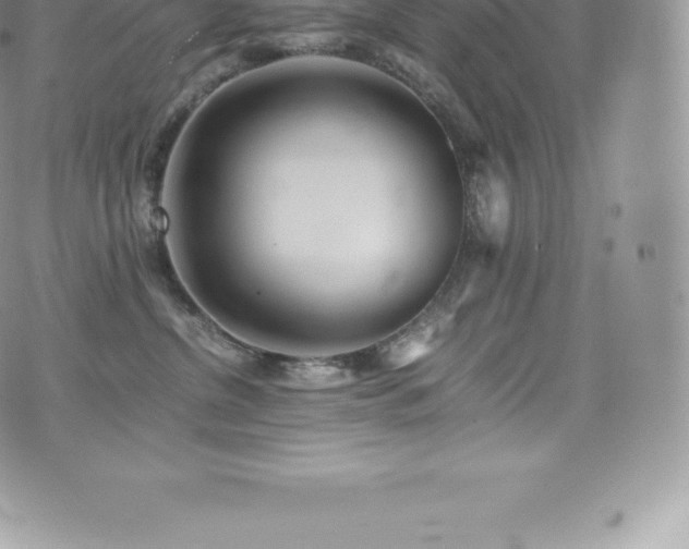 X0000073900380200608111136