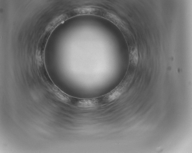 X0000073900381200608111136