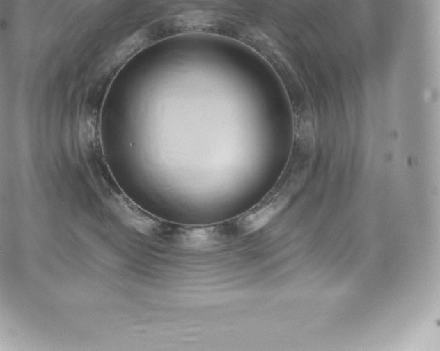 X0000073900382200608111136