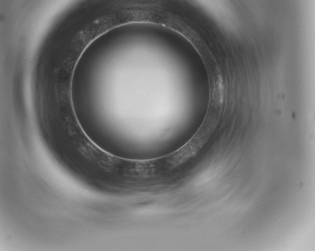 X0000073900383200608111136