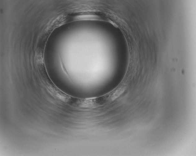 X0000073900384200608111136