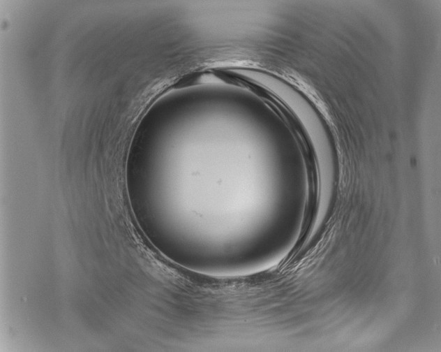 X0000073900385200608111135