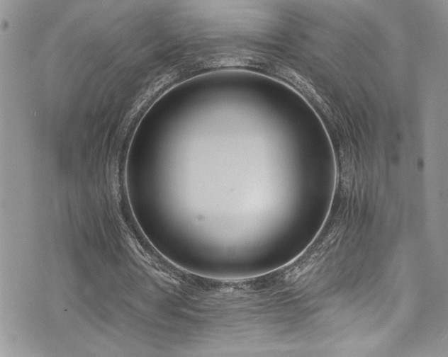 X0000073900386200608111135