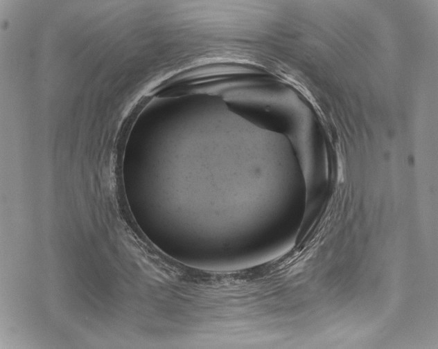 X0000073900387200608111135