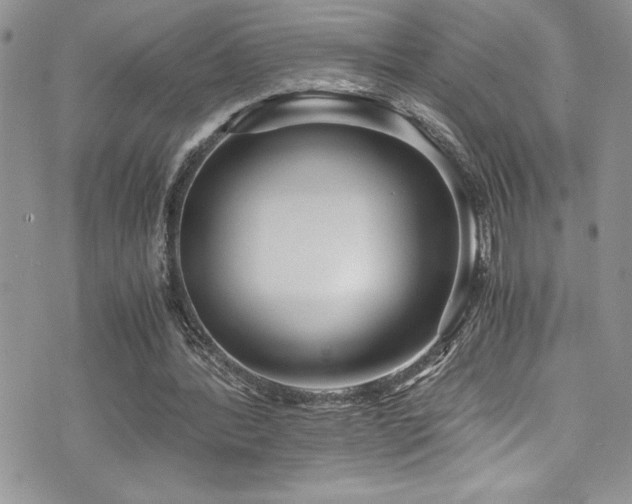 X0000073900388200608111135