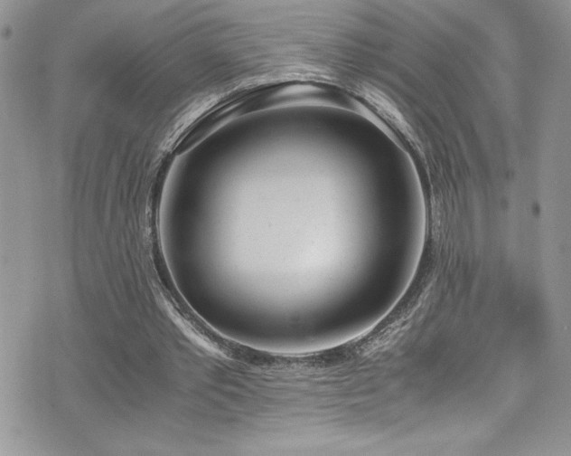 X0000073900389200608111135