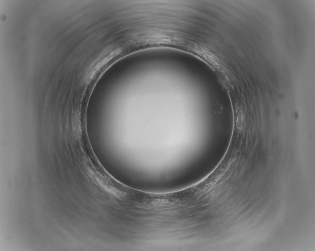 X0000073900390200608111135