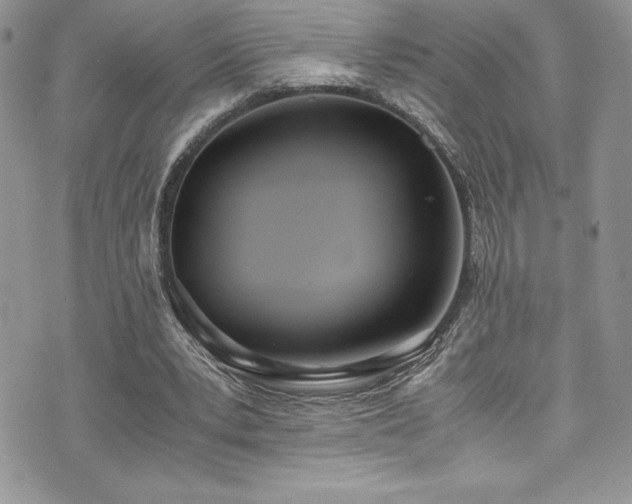 X0000073900391200608111135