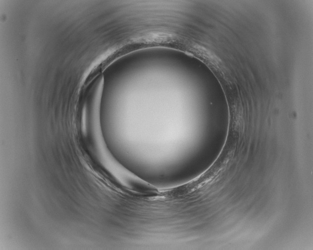 X0000073900392200608111135