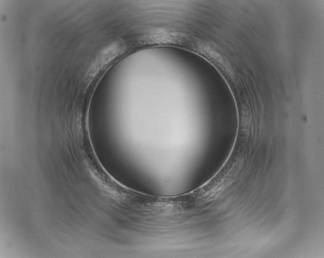 X0000073900394200608111135