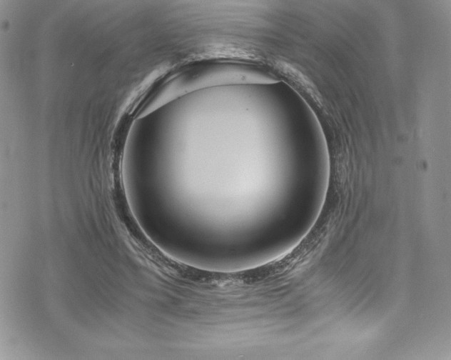 X0000073900395200608111135