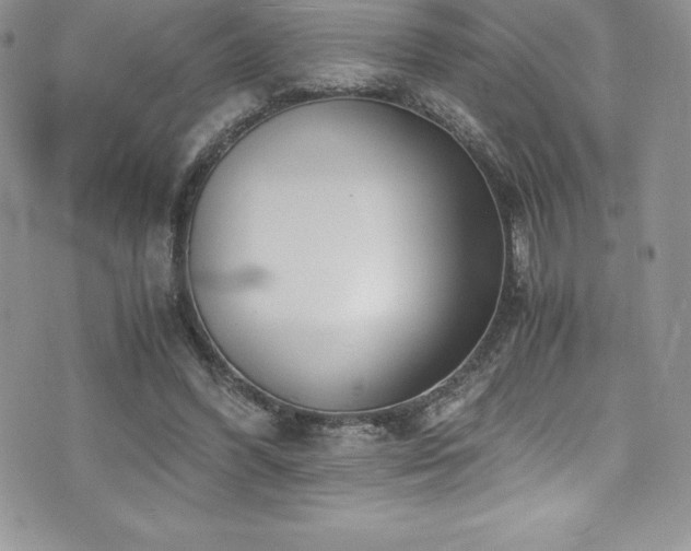 X0000073900396200608111135