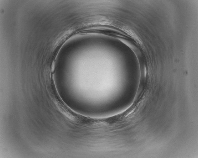 X0000073900397200608111135