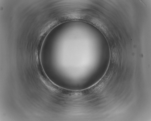 X0000073900398200608111135