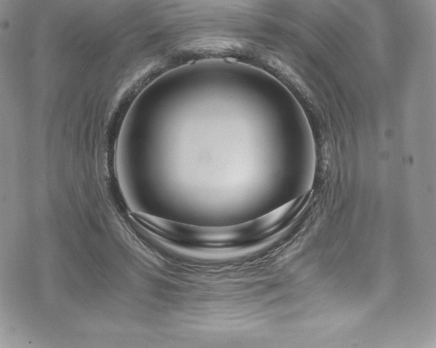 X0000073900399200608111135