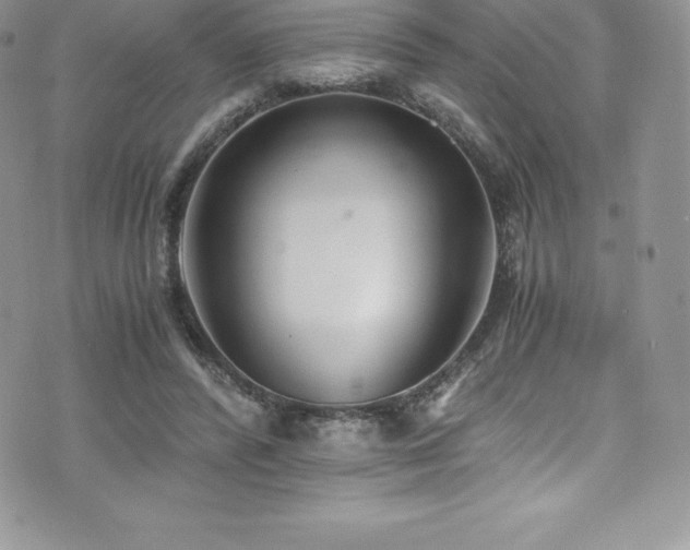 X0000073900400200608111135