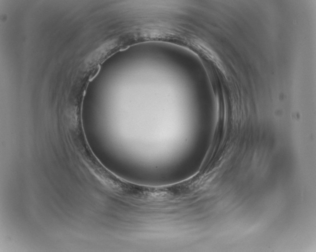 X0000073900401200608111135