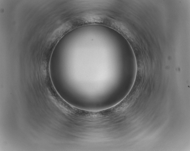 X0000073900402200608111135