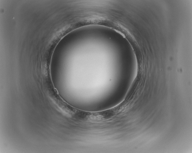 X0000073900403200608111135