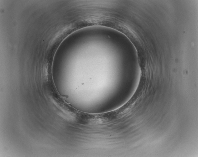 X0000073900404200608111135