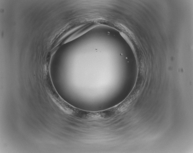 X0000073900405200608111135