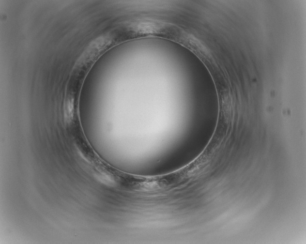 X0000073900406200608111135