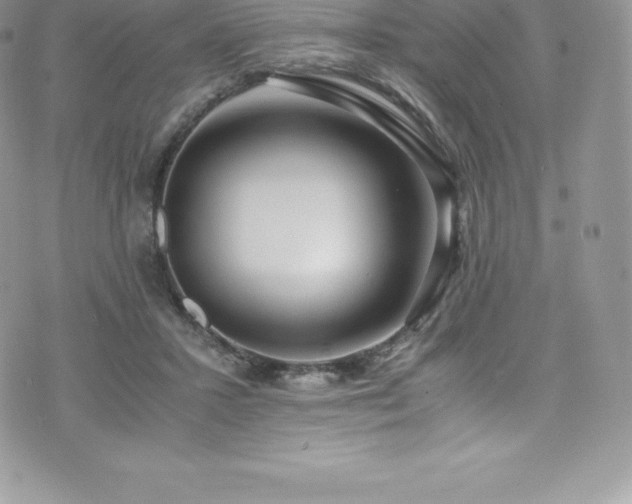 X0000073900407200608111135