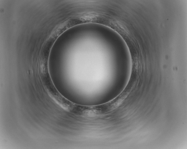 X0000073900408200608111135