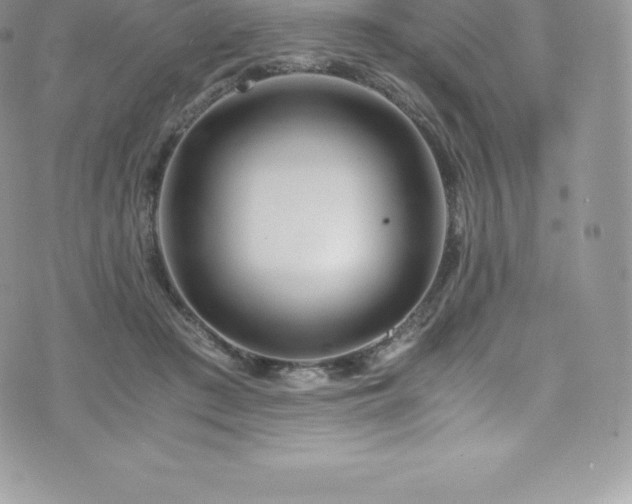 X0000073900409200608111135