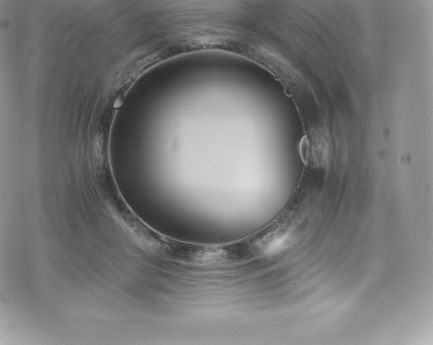 X0000073900410200608111135