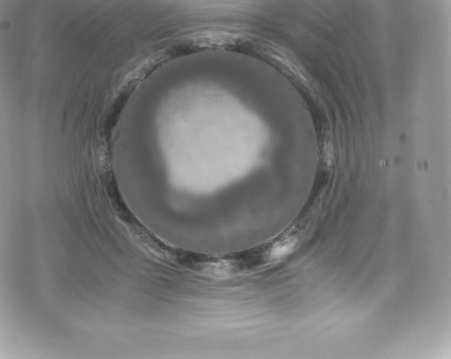 X0000073900411200608111135