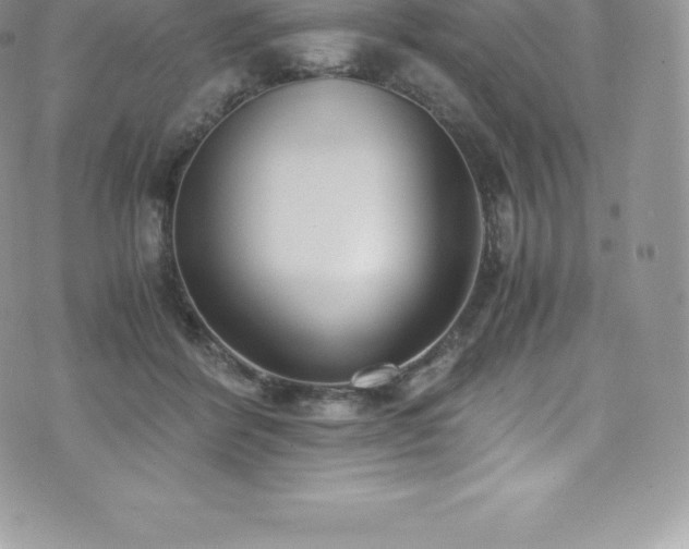 X0000073900412200608111135