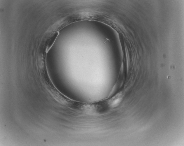 X0000073900413200608111135