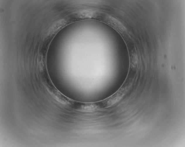 X0000073900414200608111135