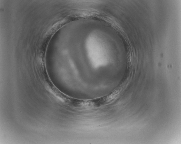 X0000073900415200608111135