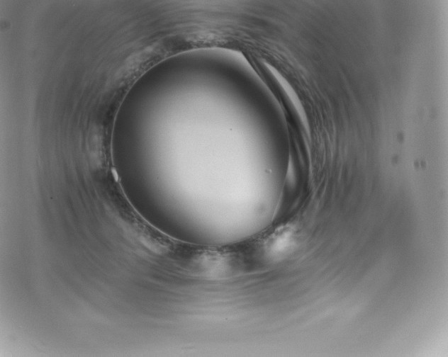 X0000073900416200608111135