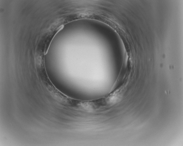 X0000073900417200608111135